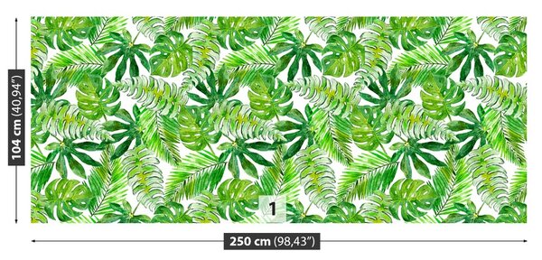 Fototapet Monstera Palma