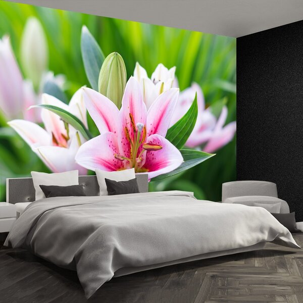 Fototapet Green Lily