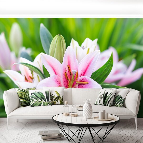 Fototapet Green Lily