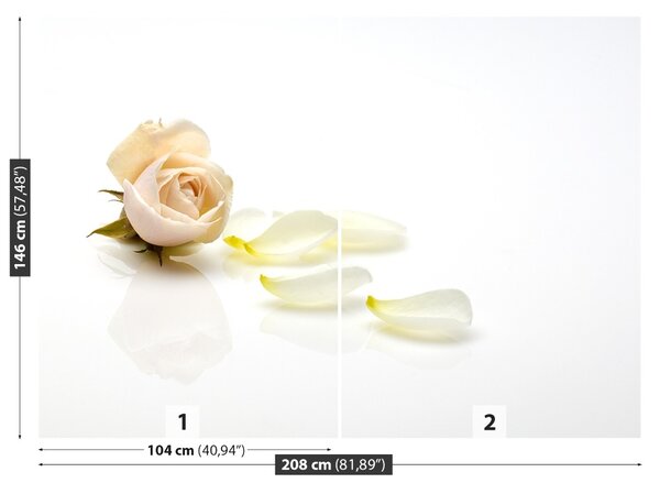 Fototapet Trandafir roz