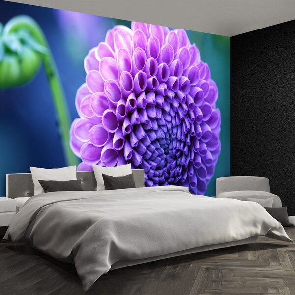 Fototapet Purple Dahlia