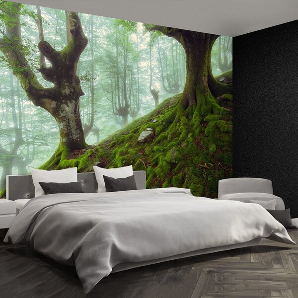 Fototapet fag Forest