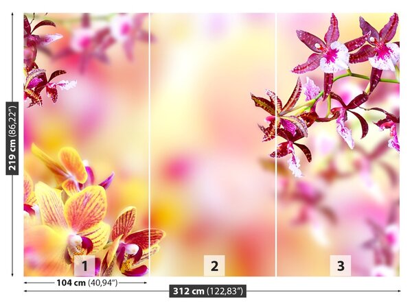 Fototapet Orhidee roz