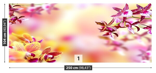 Fototapet Orhidee roz