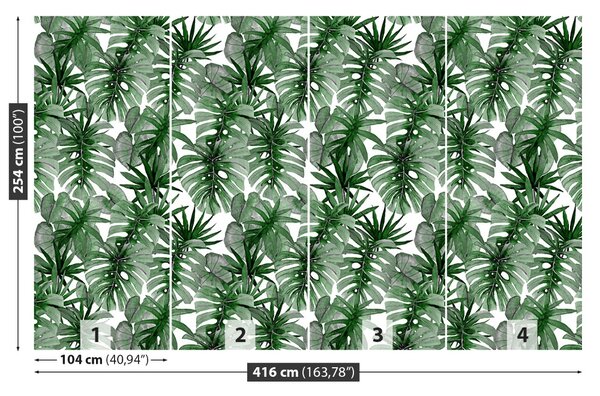 Fototapet tropical Monstera