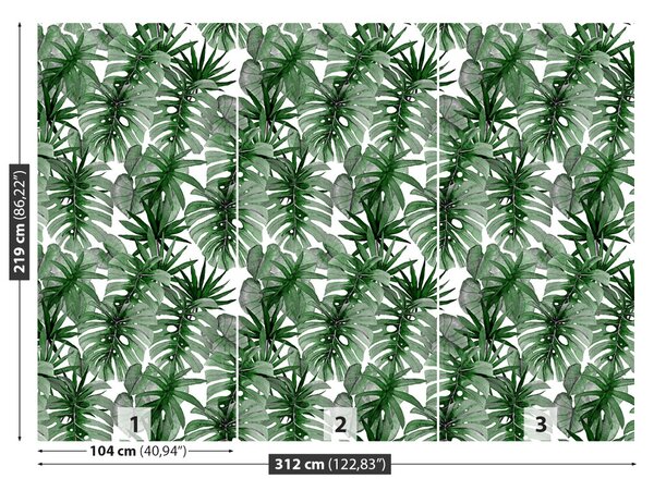 Fototapet tropical Monstera