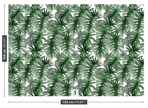 Fototapet tropical Monstera