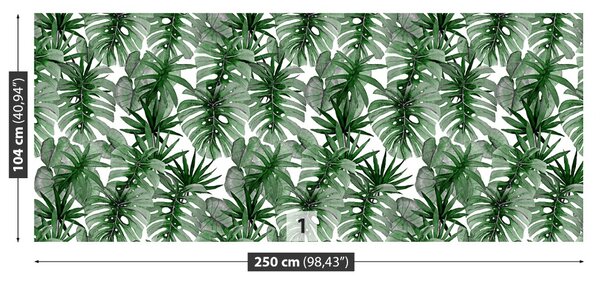 Fototapet tropical Monstera