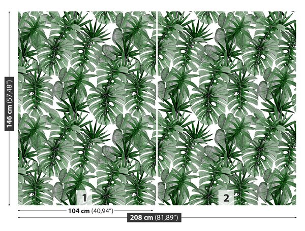 Fototapet tropical Monstera