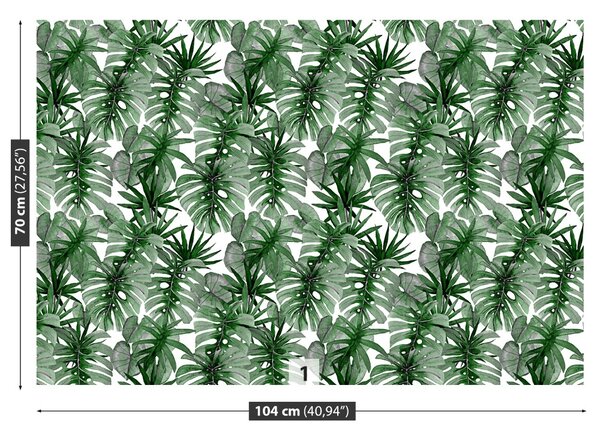 Fototapet tropical Monstera