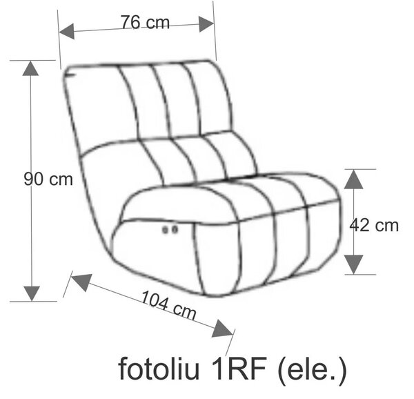 Fotoliu piele cu recliner electric Camaro 1