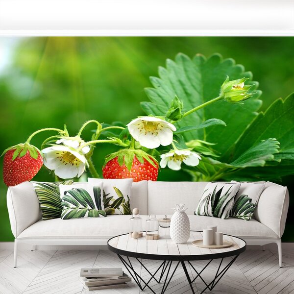 Fototapet Green Strawberry