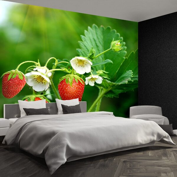Fototapet Green Strawberry