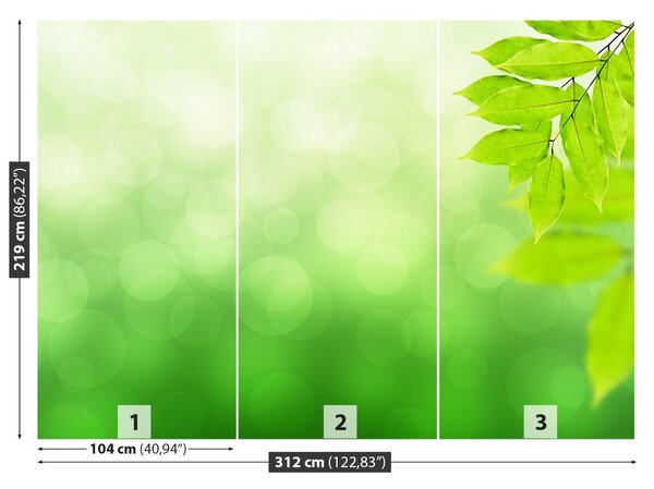 Fototapet ramură verde