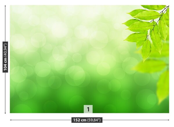 Fototapet ramură verde