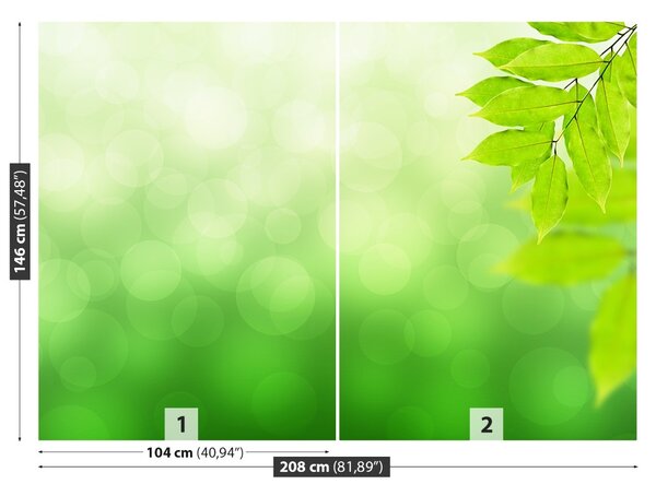 Fototapet ramură verde