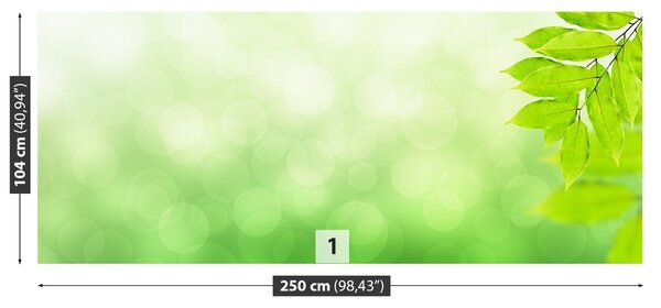 Fototapet ramură verde