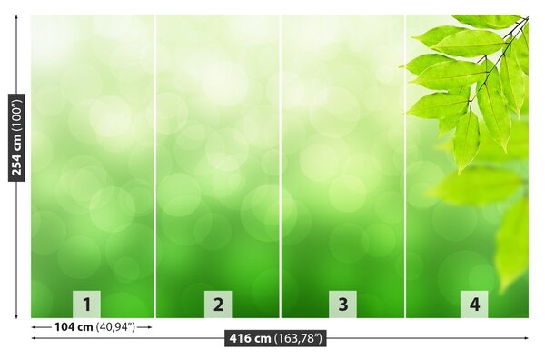 Fototapet ramură verde