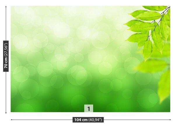 Fototapet ramură verde