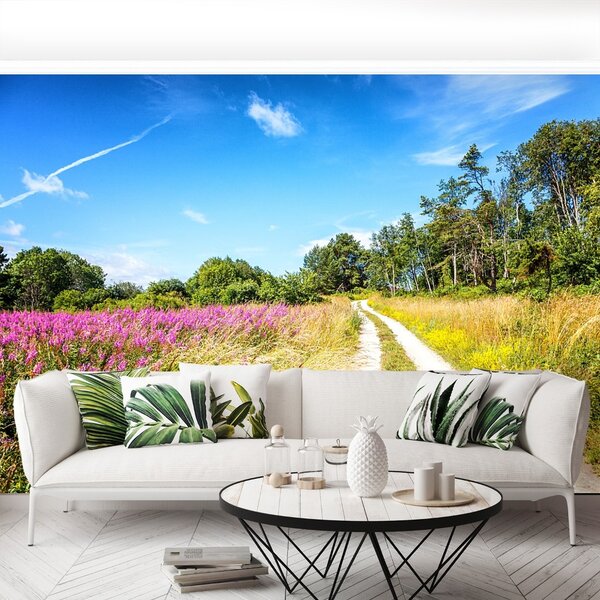 Fototapet înflorirea Meadow