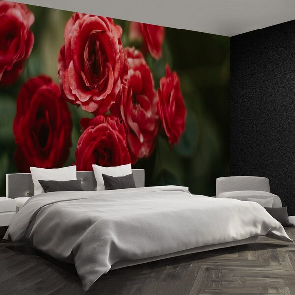 Fototapet Vintage Roses