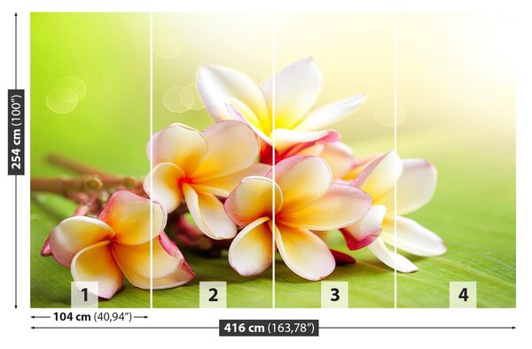 Fototapet frangipani Flori
