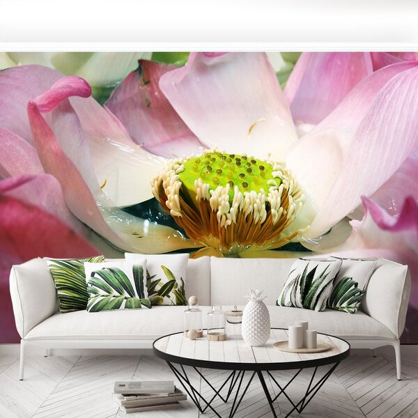 Fototapet Floare de lotus