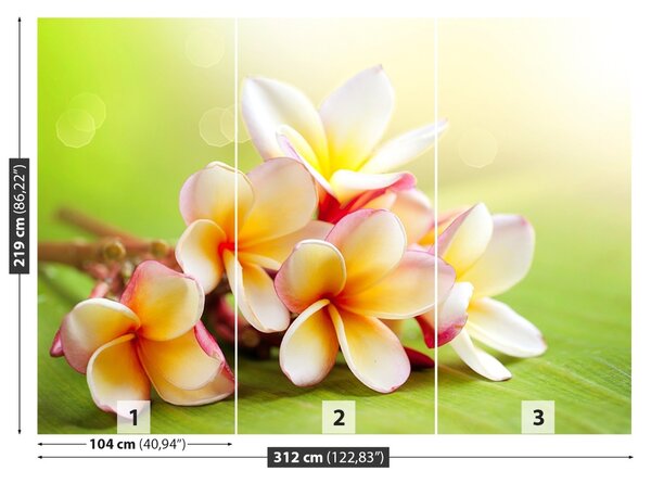 Fototapet frangipani Flori