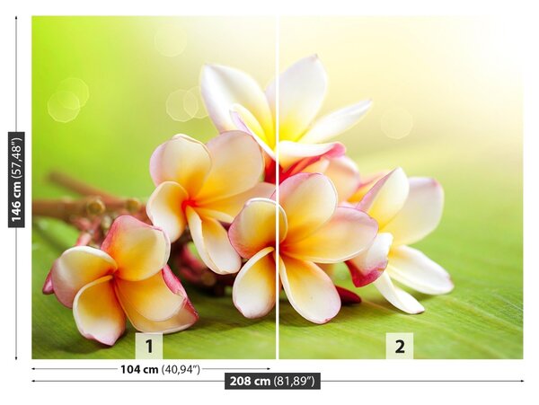 Fototapet frangipani Flori