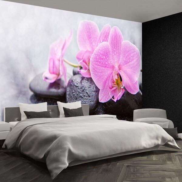 Fototapet Orchid Stones