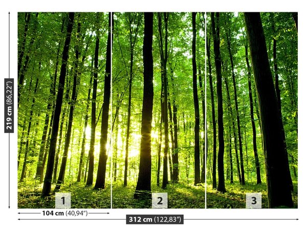 Fototapet Pădure verde