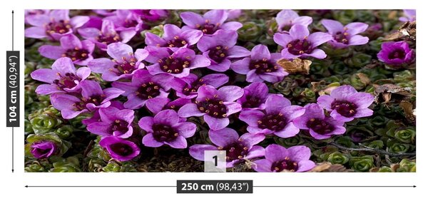 Fototapet Violet Scale
