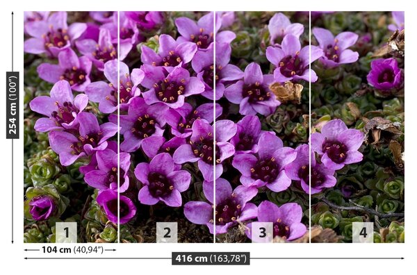 Fototapet Violet Scale