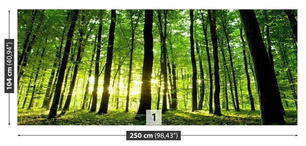 Fototapet Pădure verde