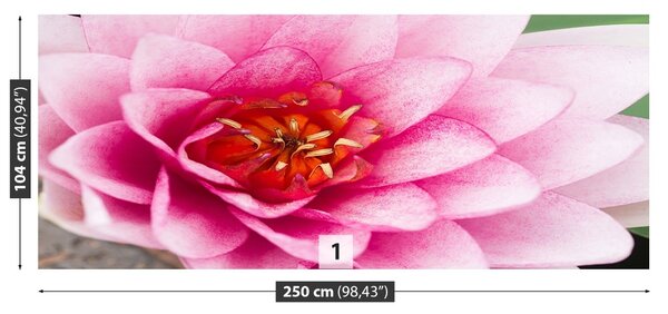 Fototapet Floare de lotus