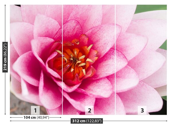 Fototapet Floare de lotus