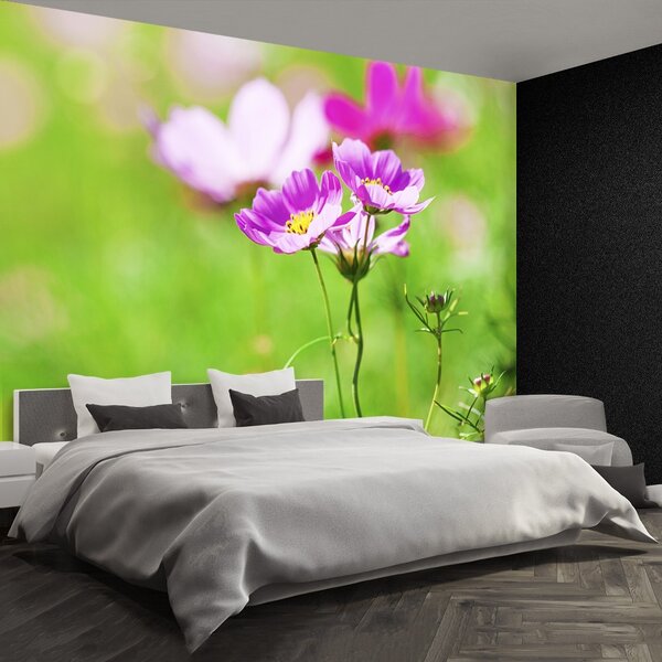 Fototapet Cosmos Purple