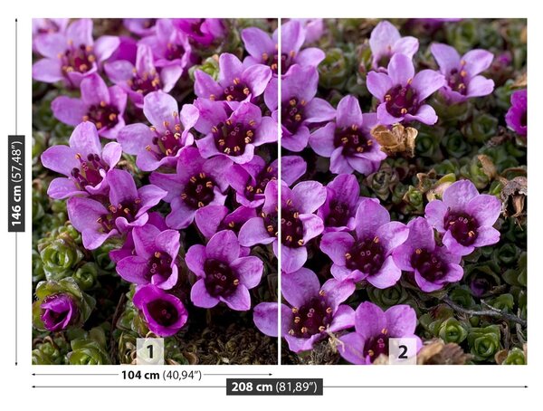 Fototapet Violet Scale