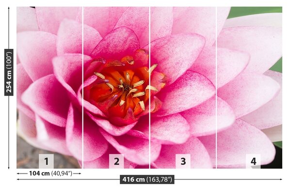 Fototapet Floare de lotus