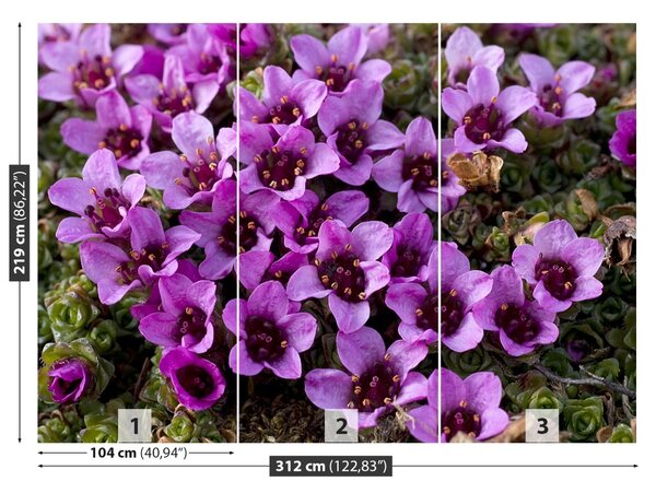 Fototapet Violet Scale