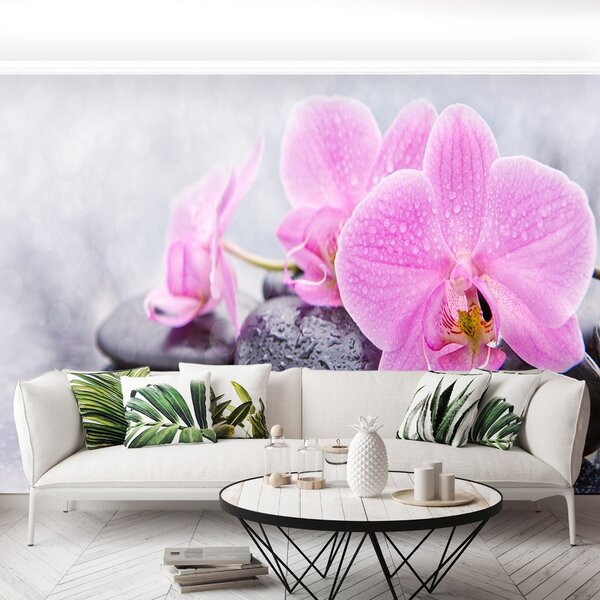 Fototapet Orchid Stones