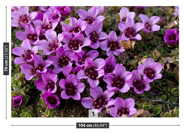 Fototapet Violet Scale