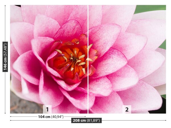 Fototapet Floare de lotus
