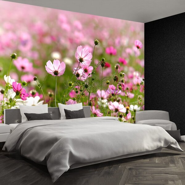 Fototapet Cosmos Flori
