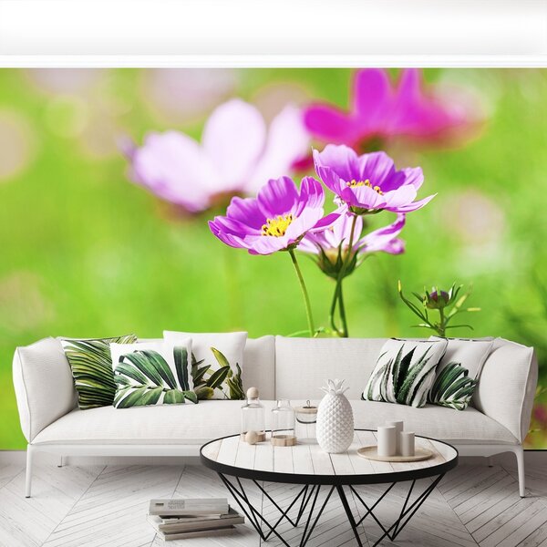 Fototapet Cosmos Purple