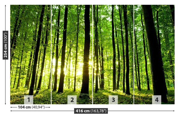 Fototapet Pădure verde