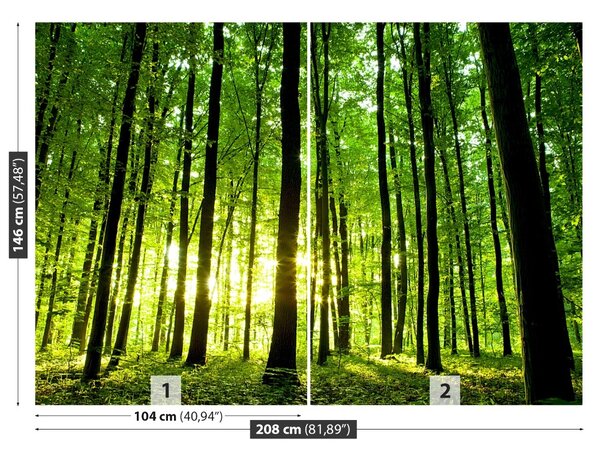 Fototapet Pădure verde