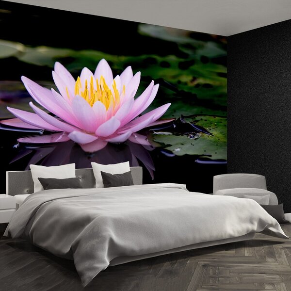 Fototapet roz Lotus