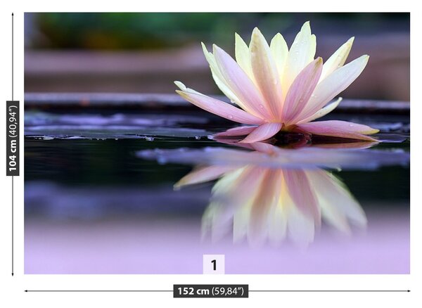 Fototapet Lotus