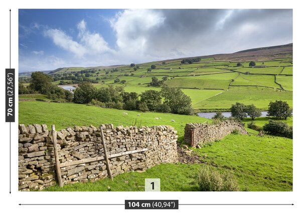 Fototapet Yorkshire Valley